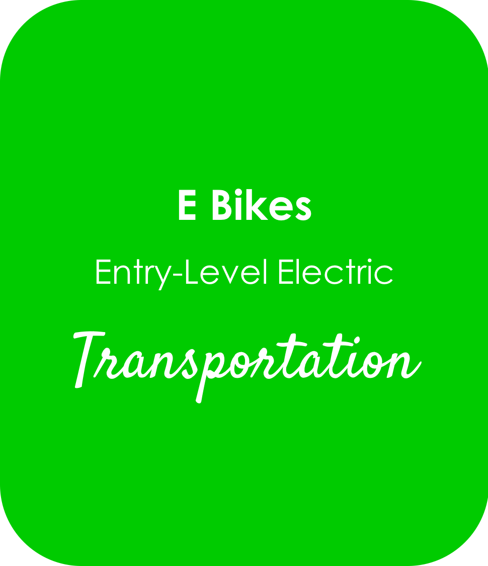 entry level electric bike